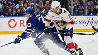toronto-florida-obzor-matcha-kubka-stenli-06-05-2025
