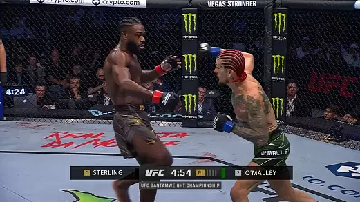 ufc-292-luchshie-momenty-turnira-po-versii-ufc-russia