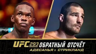adesanya-vs-striklend-prevyu-boya-na-ufc-293