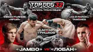 top-dog-32-saratov