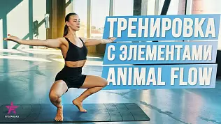 funktsionalnaya-trenirovka-s-elementami-animal-flow